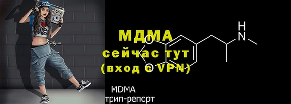твердый Надым