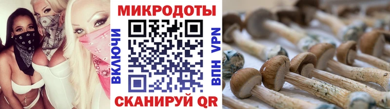 Псилоцибиновые грибы мицелий где купить наркоту Никольск