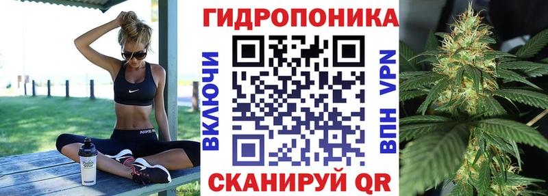 закладка Никольск Шишки марихуана индика